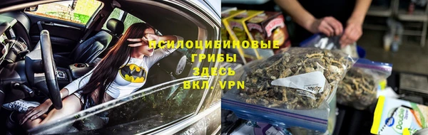 ешки Балахна